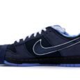 Concepts Blue Lobster