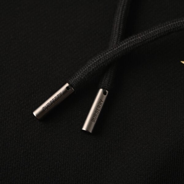 Best Burberry Hoodie - Image 6