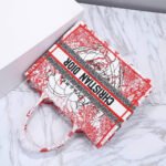 SMALL DIOR BOOK TOTE - Image 9