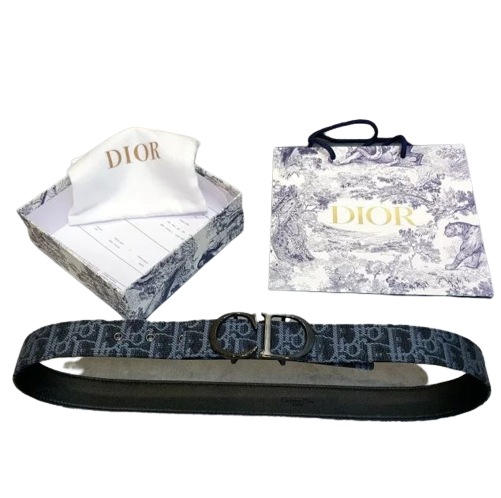 1d4e53ffe06dbb0d723b5e3e9391fbbc.png High Quilty Dior Belt - Image 1