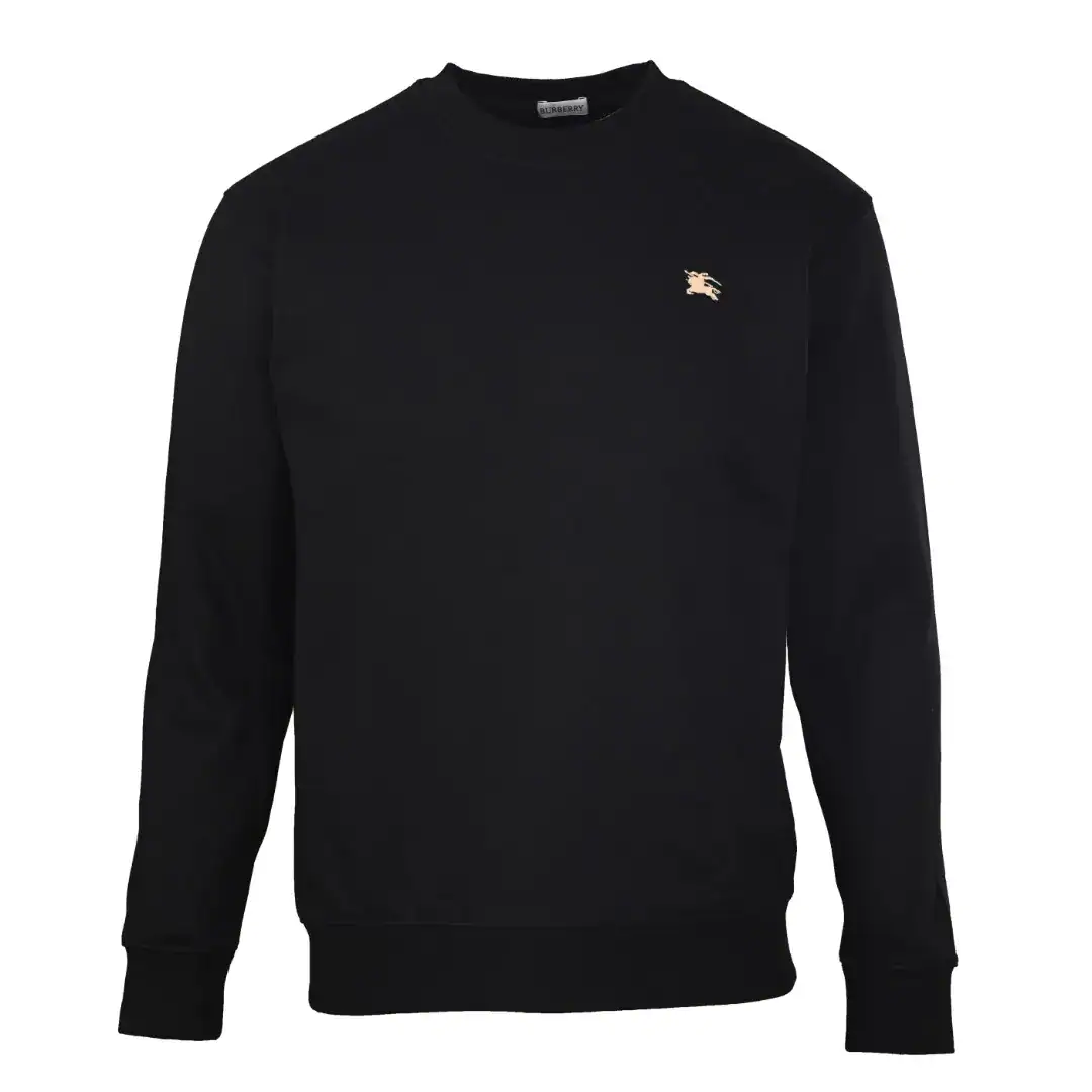 1f077b5341dcb3abe2c9e29d033d1a96.webp Best Burberry Hoodie - Image 1