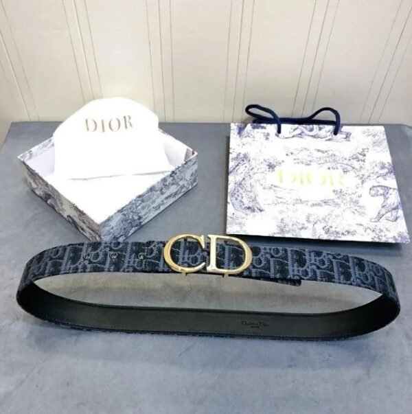 High Quilty Dior Belt - Image 7