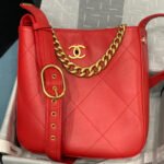 CHANEL HOBO HANDBAG - Image 7