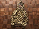 BP-Hoodie