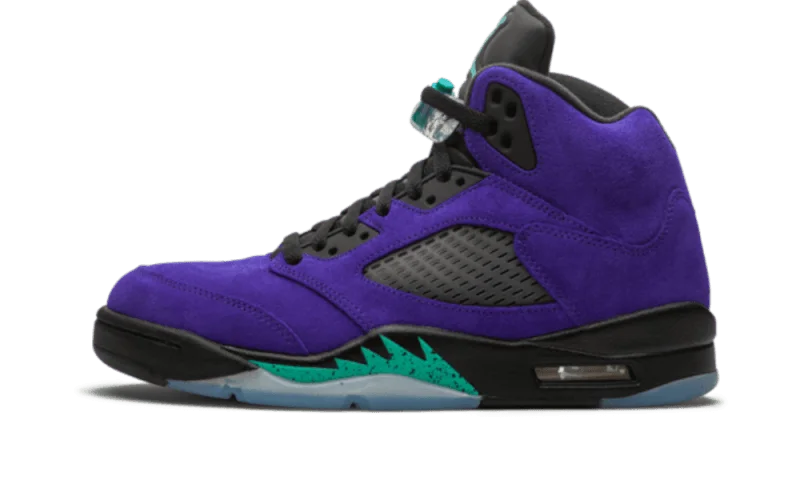 2601f4c7aa30a0538505d80c8502f5d6.png Retro Alternate Grape - Image 1
