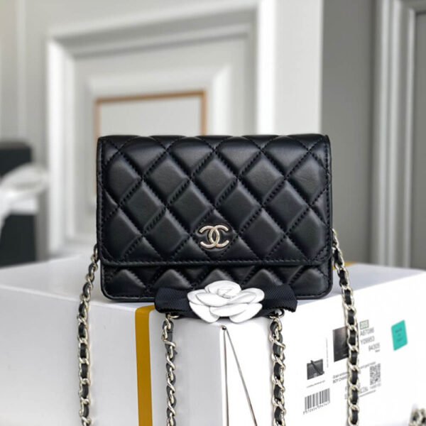 Chanel MINI WALLET ON CHAIN - Image 3