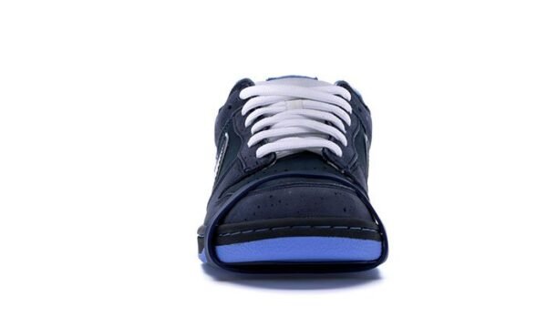 Concepts Blue Lobster - Image 5