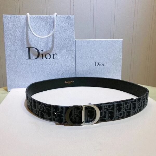 High Quilty Dior Belt - Image 2