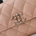 Chanel Flap Phone Holder with Chain(HIGH-END GRADE) - Image 10