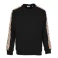 Best Burberry Hoodie