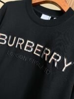 Best Burberry Hoodie - Image 10