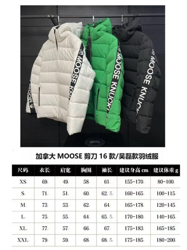 Canada Goose DownJacket - Image 4