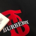 Best Burberry Hoodie - Image 8