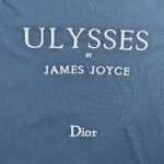 High Quality Dior T-shirt - Image 7