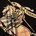 Best Burberry Hoodie - Image 5