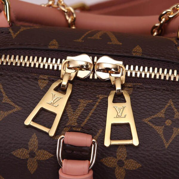 LV Petite Malle Souple Handbag - Image 6