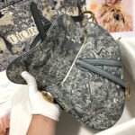 Dior SADDLE BAG - Image 10
