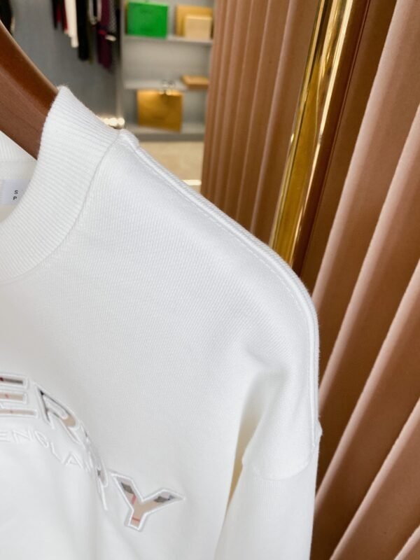 Best Burberry Hoodie - Image 6