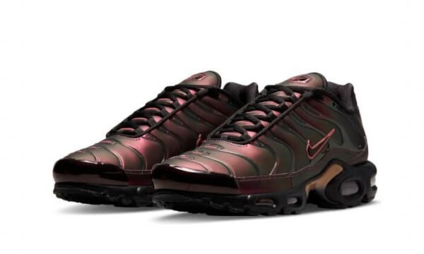 OG Scarab - Image 3
