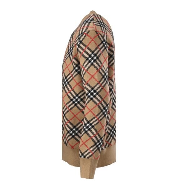 Best Burberry Hoodie - Image 4