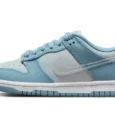 Clear Swoosh
