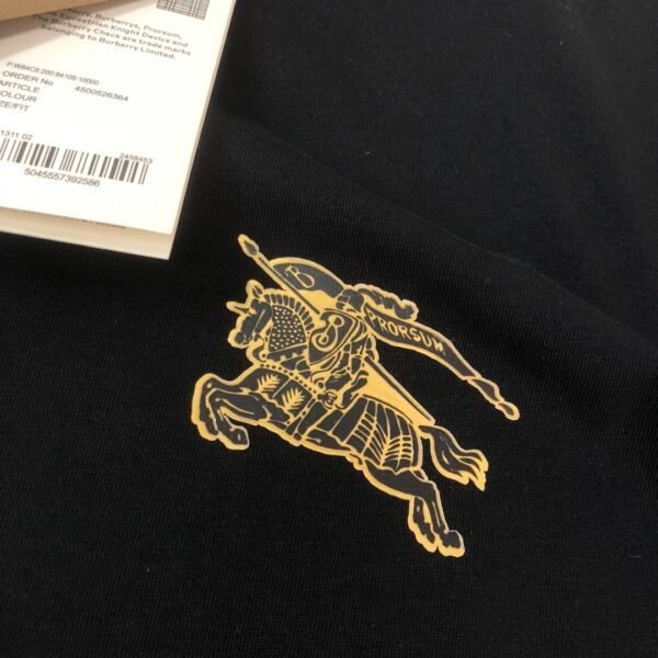 Best Burberry Hoodie - Image 6