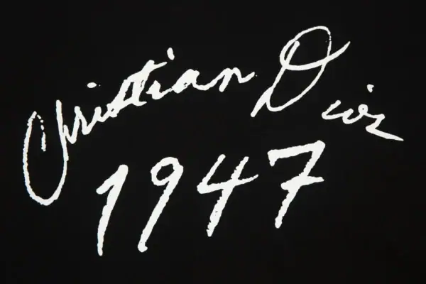 High Quality Dior T-shirt - Image 6