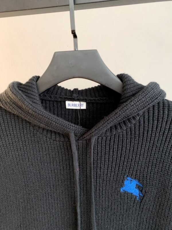 Best Burberry Hoodie - Image 4