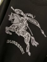 Best Burberry Hoodie - Image 10