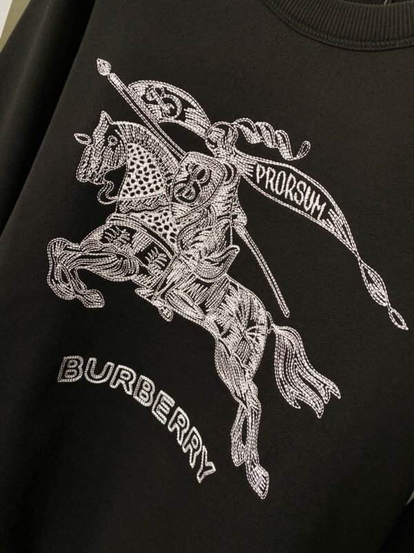 Best Burberry Hoodie - Image 7