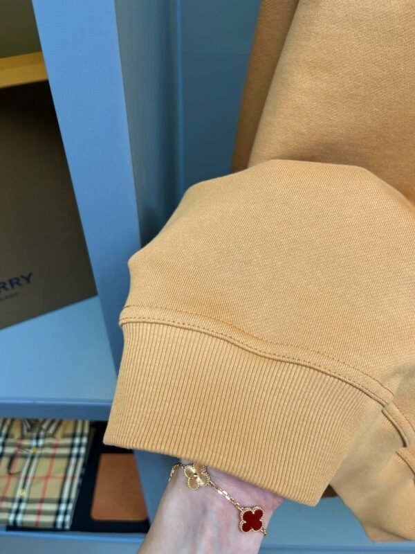 Best Burberry Hoodie - Image 7
