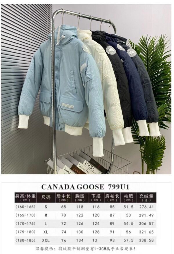 Canada Goose DownJacket - Image 4