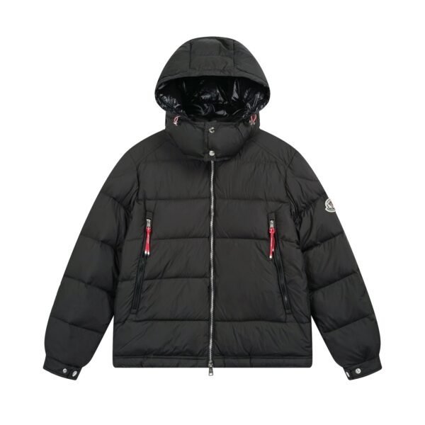 Premium Down Jacket with Detachable Hood - Image 2