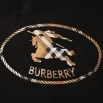Best Burberry Hoodie - Image 6