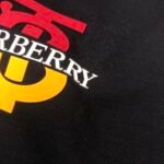 Best Burberry Hoodie - Image 8
