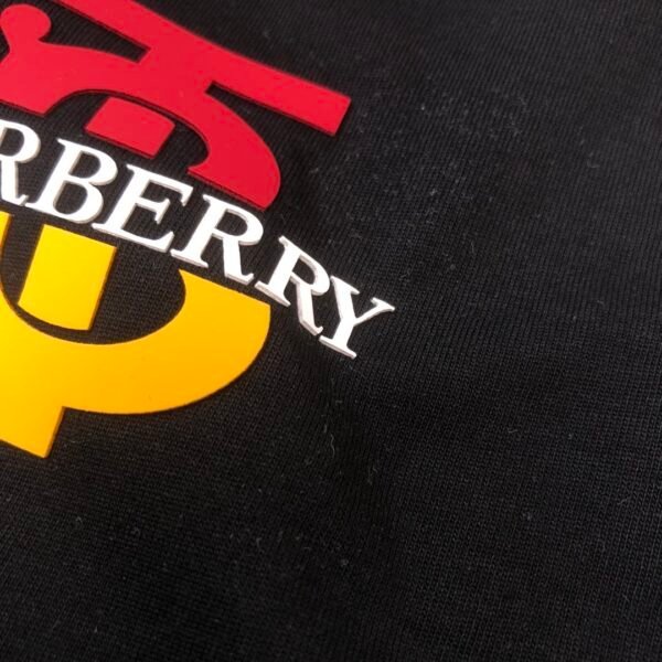 Best Burberry Hoodie - Image 5