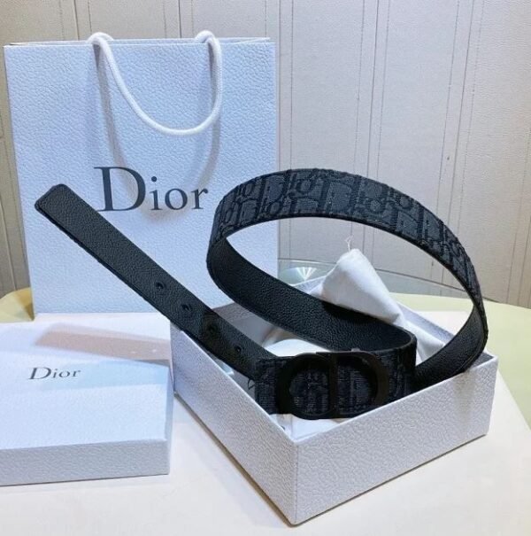 High Quilty Dior Belt - Image 5