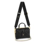 LV Petite Malle Souple Handbag - Image 2
