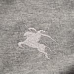 Best Burberry Hoodie - Image 7