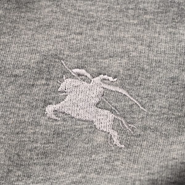 Best Burberry Hoodie - Image 7