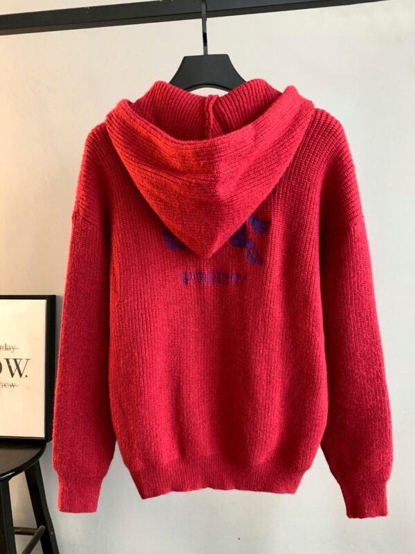 Best Burberry Hoodie - Image 3