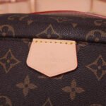 LV Bumbag - Image 8