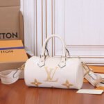 LV Papillon BB Bag - Image 5