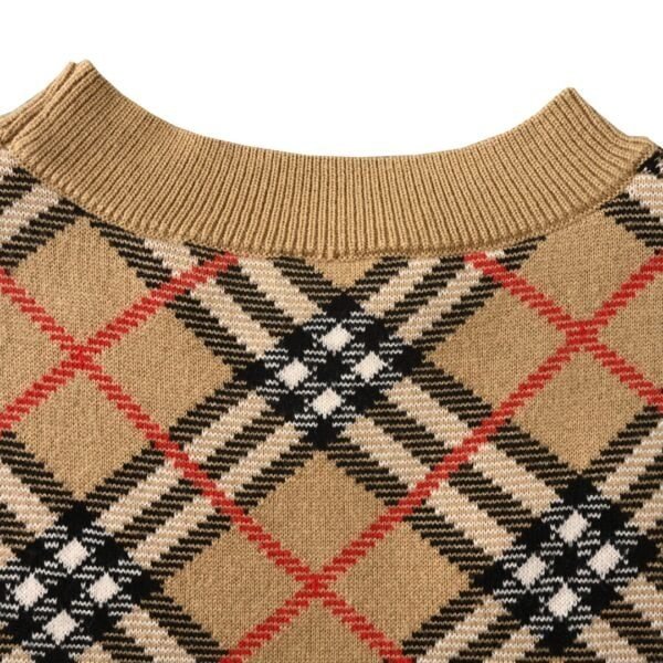 Best Burberry Hoodie - Image 5