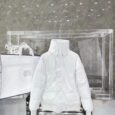 Canada Goose DownJacket