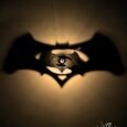 bat_sup_sx1-scaled-1.jpg