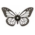 butterfly_resized_with_bg.jpg