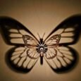 butterfly_x_9c70d5e6-8845-44ff-8b37-e2f62491ba3e-scaled-1.jpg