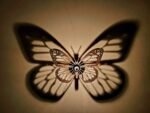 Butterfly Lamp
