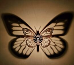 Butterfly Lamp